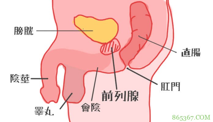 前列腺糕潮技巧 这6步少不了