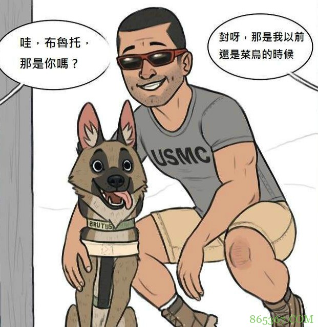 《小精灵与布鲁托》新作 漫画家Ben Hed分享退役军犬的过去