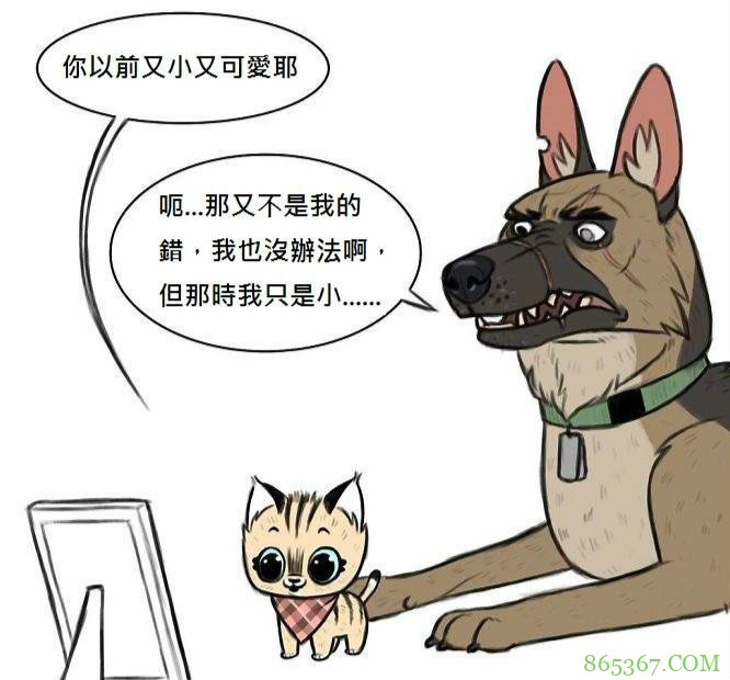 《小精灵与布鲁托》新作 漫画家Ben Hed分享退役军犬的过去