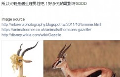 【大发娱乐】多元成家？《動物方城市》志羚姐姐超越性別！