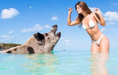 【大发娱乐】陽光甜心！妹子笑容超有感染力 「白嫩側乳」一現身世界都變得美好