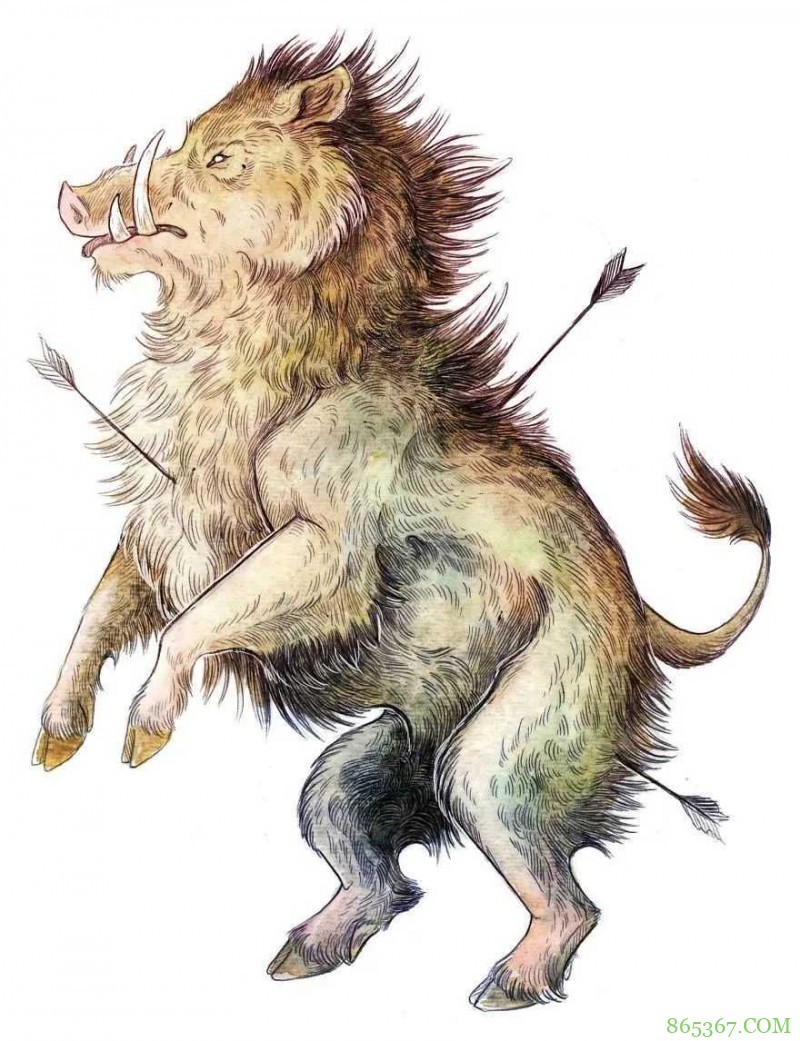 《威尔士怪兽与神兽》插画集 民间传说中的古怪生物