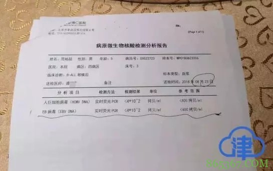 6岁白血病男童之死花费超400万后离世，家属质疑北京博仁医院拿他当“小白鼠”？