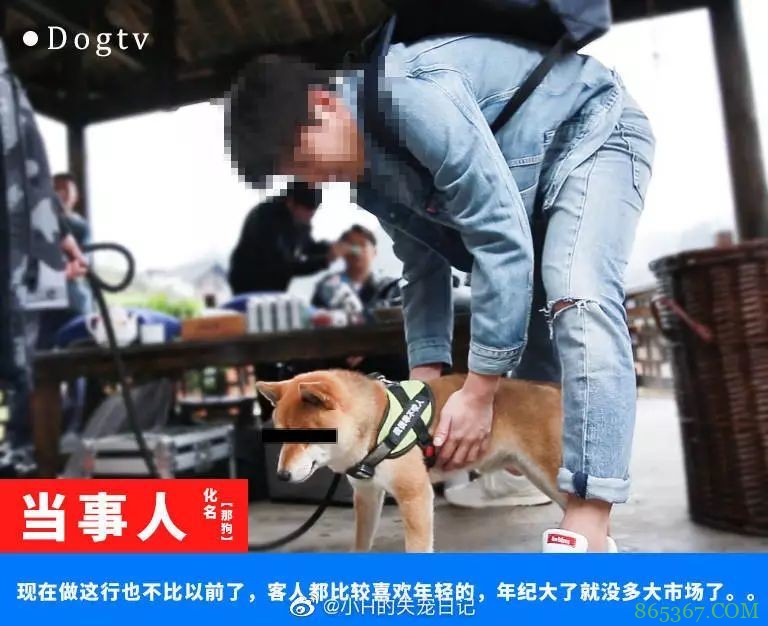 《向往的生活3》黄磊何炅用刘宪华“换”张子枫、四只狗和一头牛？真相来了。