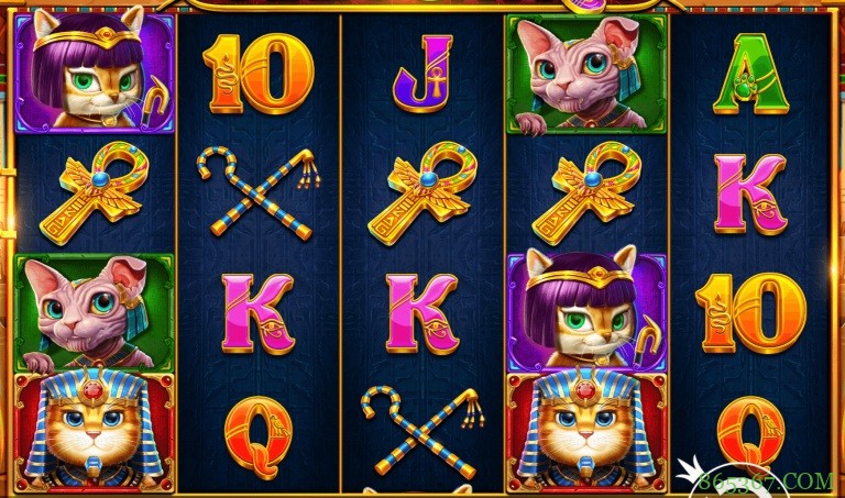 埃及神猫：探寻古埃及的未解之谜