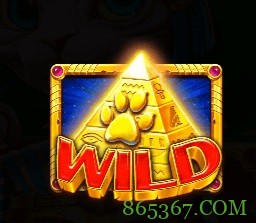 埃及神猫：探寻古埃及的未解之谜