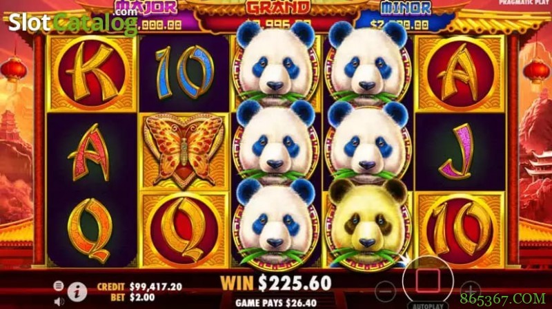 熊猫财富2重磅上线大发娱乐平台