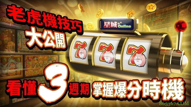 狂野旋风老虎机玩法机制解析：从设计逻辑到理性娱乐策略